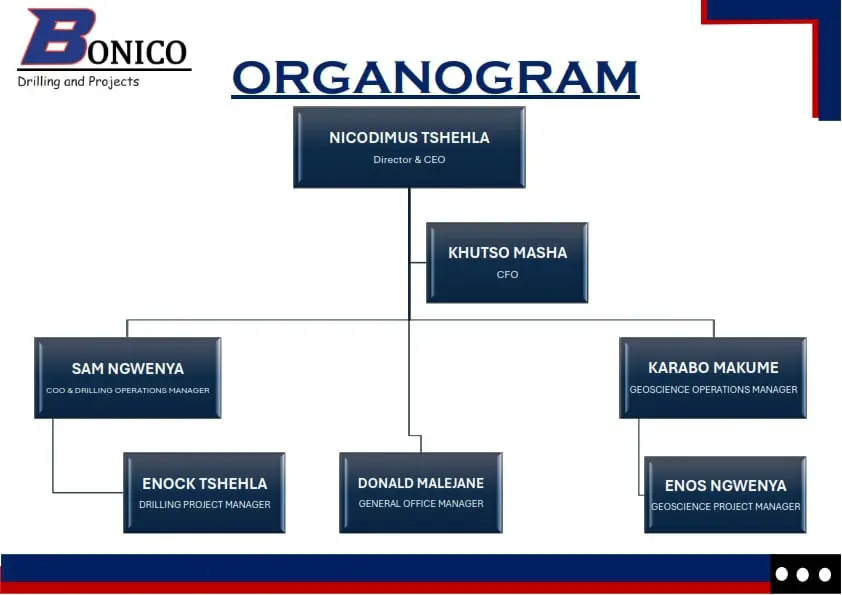 Bonico Organogram